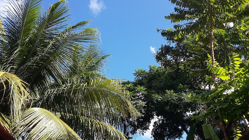 Dias Macêdo — Elano Society