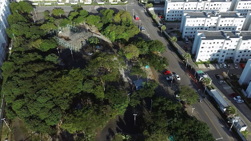 Rachel de Queiroz — Praça das Artes MRV